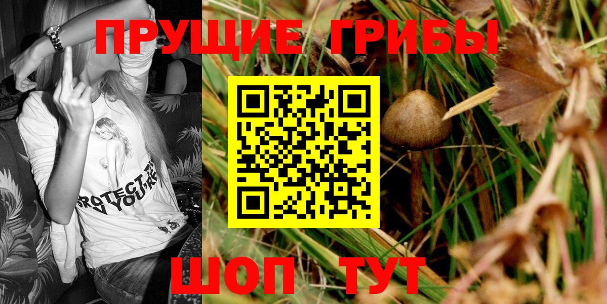 магазин продажи наркотиков  Псилоцибиновые грибы Magic Shrooms  Вход с VPN  Семилуки 